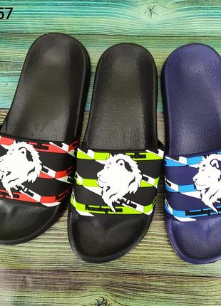 Мужские шлепанцы со львом 3257