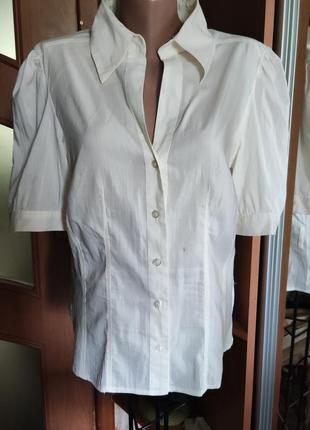 Блуза-жакет из тоенького хлопка 38-40