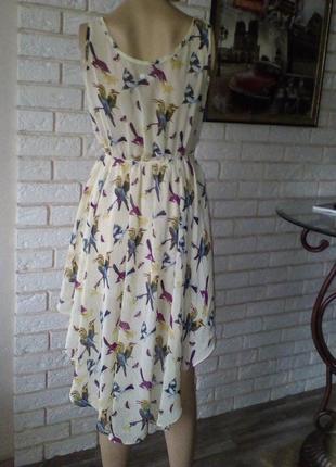 Миле, чарівне, шифонова сукня з птахами 10 glamorous4 фото
