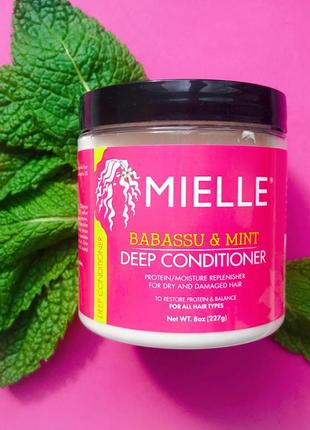 Маска для волос mielle babassu oil & mint deep conditioner