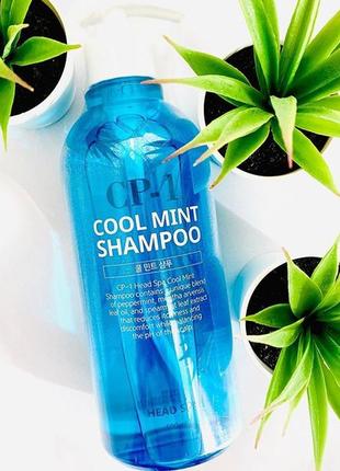 Освежающий шампунь для волос esthetic house cp-1 cool mint shampoo, 500 мл