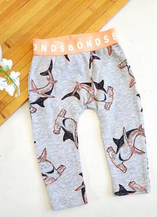 Кольорові лосини