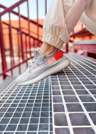 Кросівки adidas yeezy boost 350 v2 tail light3 фото