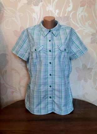 Блуза в клітку the north face