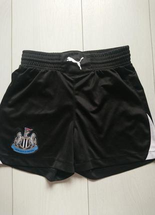 Спортивні шорти puma