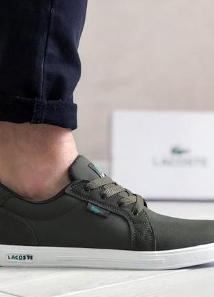 Мужские кеды   lacoste6 фото