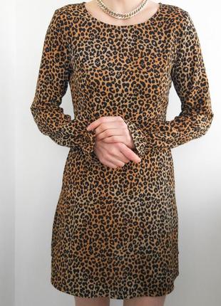 Сукня h&m леопардовий принт, сукня в леопардовий принт