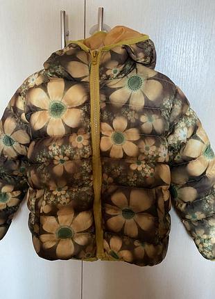 Курточка весна, осень 2