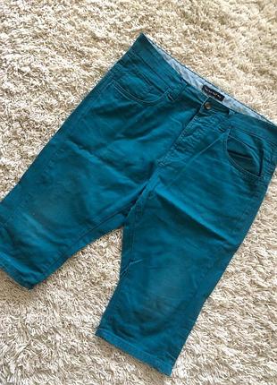 Шорти бриджі cedarwood state