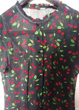 Блуза,блузка 2