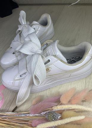 Кеды puma