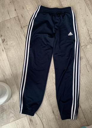 Синие штаны adidas2 фото