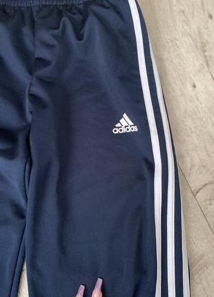 Синие штаны adidas3 фото