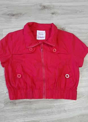 Ветровка жакет