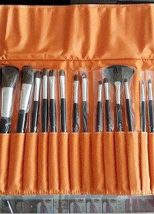 Набір кистей для макіяжу шані pro brush set goat & pony bristles -22pc