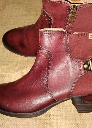 38р-25 см шкіра черевики pikolinos