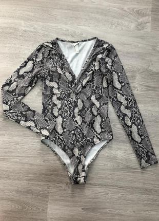 Боди боді бодік