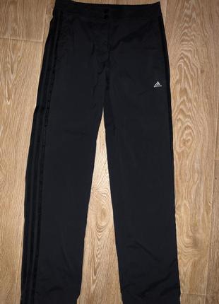 Спортивные штаны adidas sobakovlite- оригинал