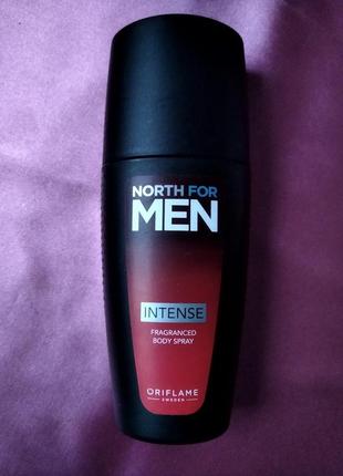 Яркий аромат парфюмированный спрей для тела north for men intense1 фото