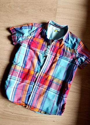 Цветная летняя рубашка хлопок в клетку бренд