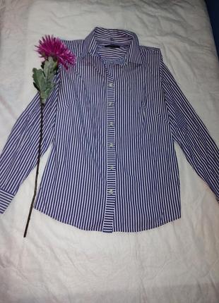 97%бавовна базова сорочка в смужку