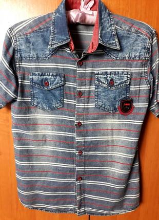 Стильна літня сорочка на хлопчика