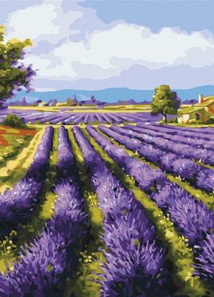 Картина по номерам лавандовые поля браш