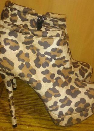Стильні леопардові ботильйони р38 new look