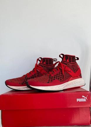 Кроссовки puma ignite evoknit