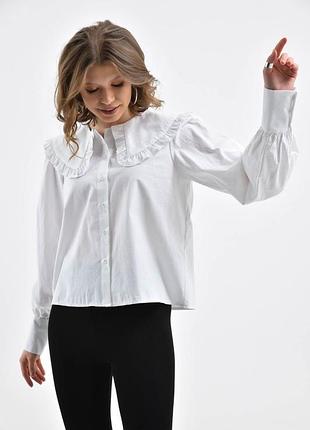 Біла сорочка, белая рубашка