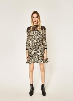 Плаття zara 3