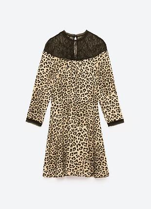 Плаття zara 5