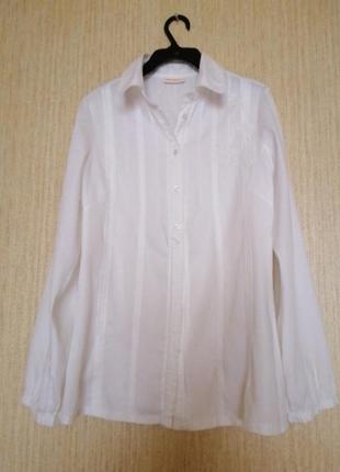 Сорочка gin tonic .