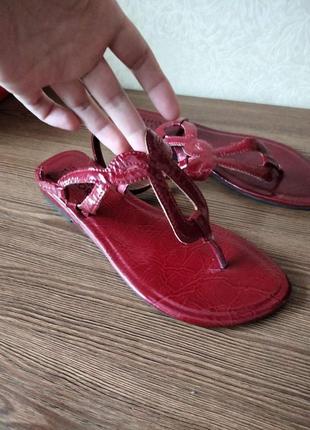 Босоножки -shoe the teilor