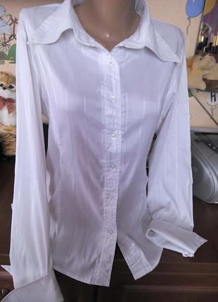 Блуза белая 46-48