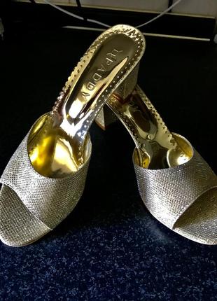 Симпатичные золотистые бассаножки