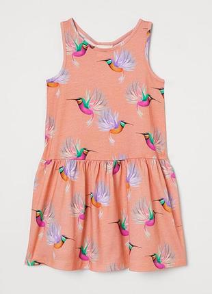 Миле плаття з колібрі серія dieter braun x h&m