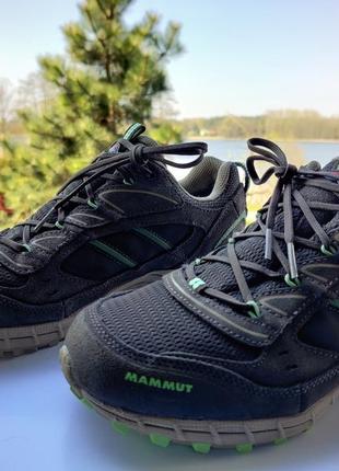 Трекінгові кросівки raichle mammut t element low gtx® women, р. 40⅔