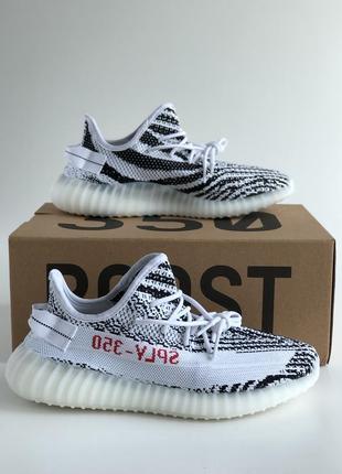 Adidas yeezy boost 350 v2 white zebra"!!!