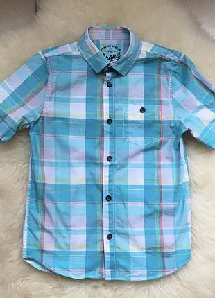 Брендовий сорочка з бавовни на 6-7 років