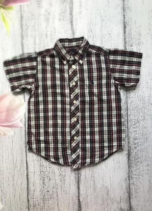 Крута сорочка теніска футболка в клітку ralph lauren 4 роки