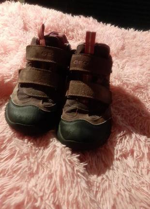 Натуральні справжні geox кросовочки 35 розмір! лот 179