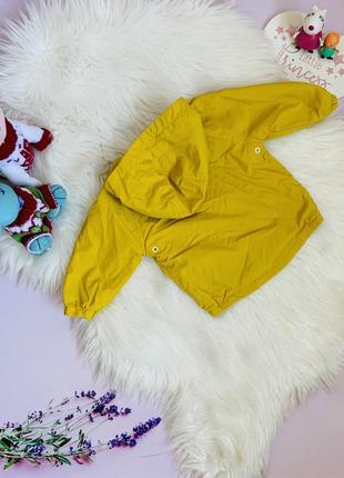 Красивая стильная ветровка next мальчику 6-9 месяцев