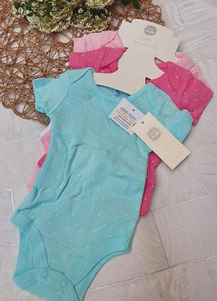 Бодіки cool club