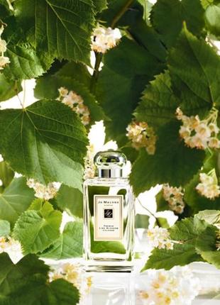 Jo malone french lime blossom