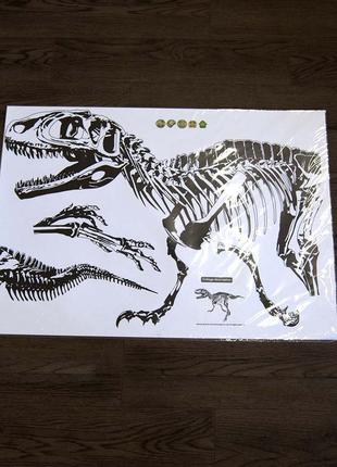 Інтер'єрна наклейка 3d скелет динозавра 70х50см вініл пвх3 фото