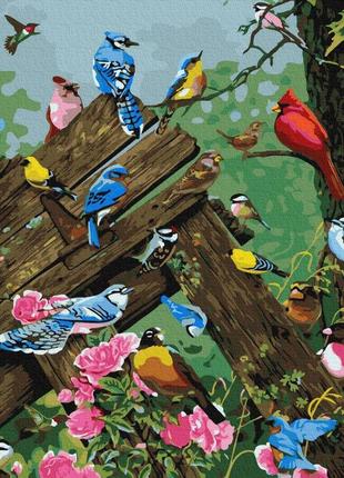 Картина по номерам разноцветные птички браш