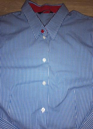 Блуза сорочка котон esmara німеччина розмір 36/382 фото