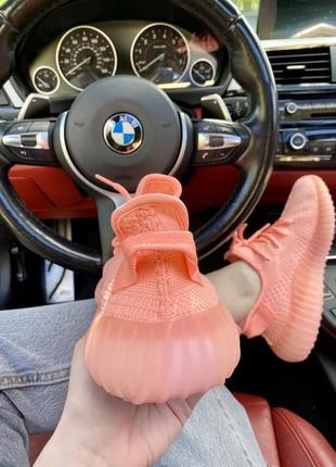 Шикарные женские кроссовки adidas yeezy boost 350 цвета лолося (розовые)7 фото