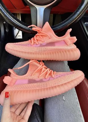 Шикарные женские кроссовки adidas yeezy boost 350 цвета лолося (розовые)2 фото